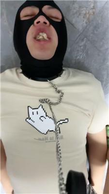 231101xeddjqsd1feedpos.jpg