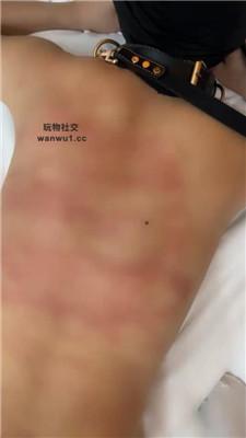 074228qvpcjcqliu0y2muv.jpg
