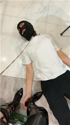 145635afni6fp19br0msf3.jpg