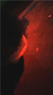 105212n9spl1999l9p71s4.jpg