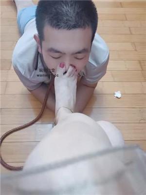 081653xxddrdzd7ydxwade.jpg
