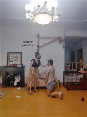 081721dcy8202zb26wd5ct.jpg