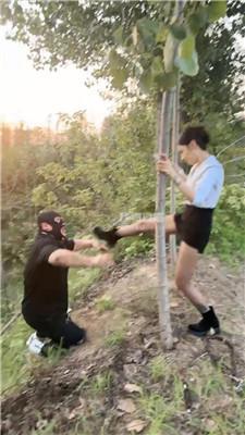 222328jyzsinkhbfdkxdhe.jpg
