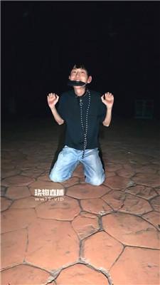 120118c3h3s1shr8cbreri.jpg