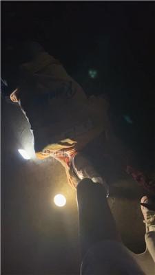 145248gfgkjgtadzczrntg.jpg